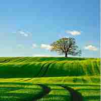 搜‌索‍算﻿法‍的‌特‍点​